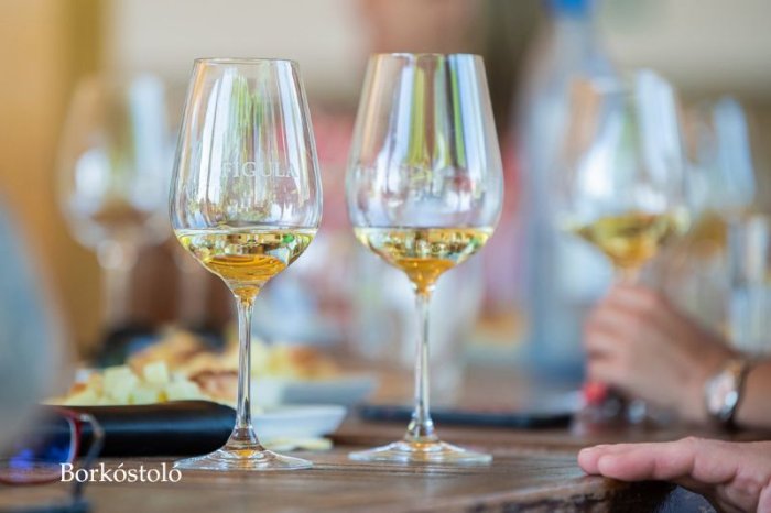 Wine Tasting