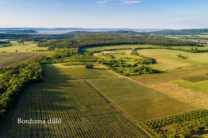 Bordoma dűlő.jpg