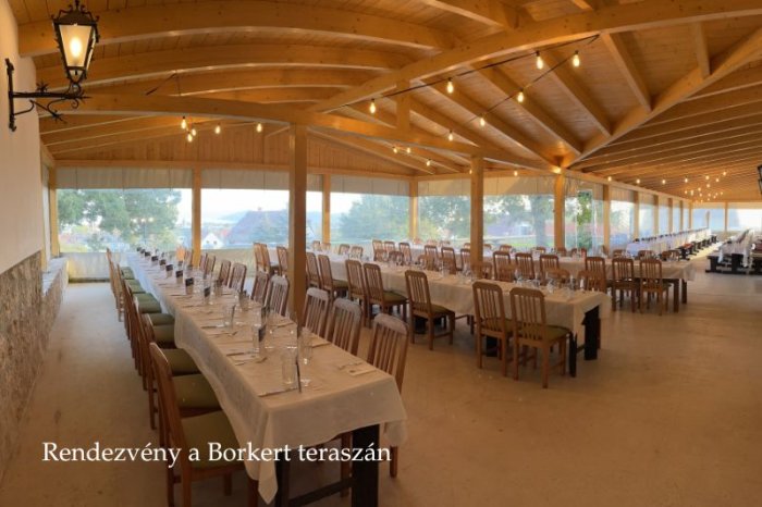 Rendezvény a Borkertben.jpg