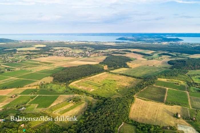 Balatonszőlősi dűlőink.jpg