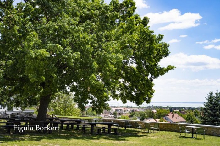 Borkert