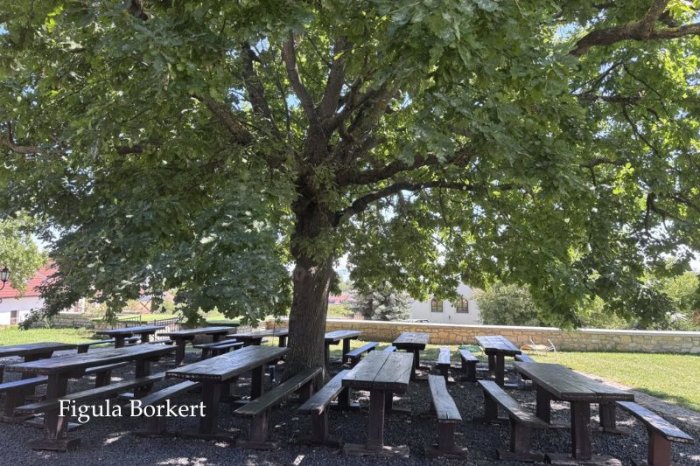 Borkert